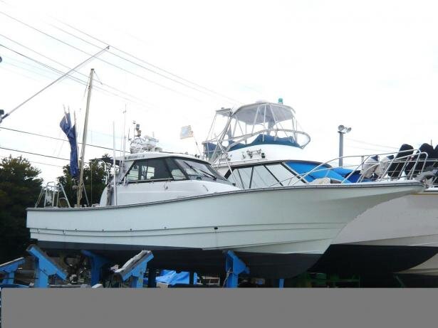 ヤンマー EX35