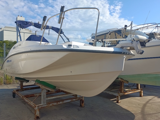 ヤマハ AX220WT