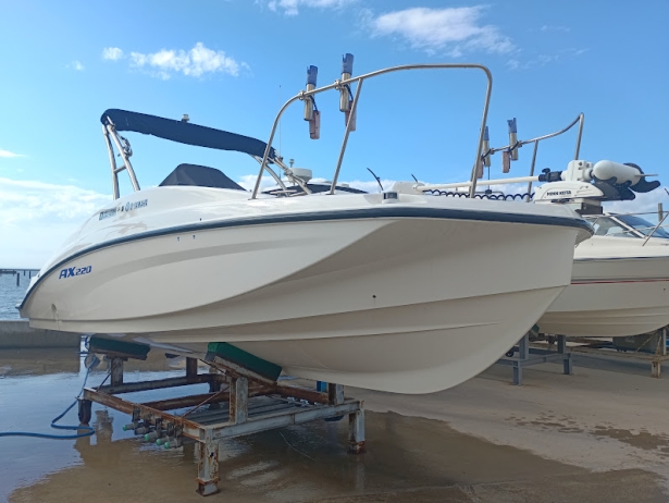 ヤマハ AX220WT