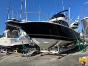 ヤマハ Y-31コンバーチブル