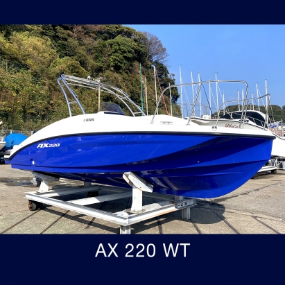 ヤマハ AX220WT