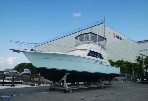 バートラム 43